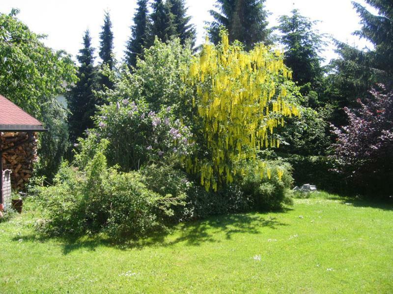 Ferienwohnung Soellner Nagel Εξωτερικό φωτογραφία
